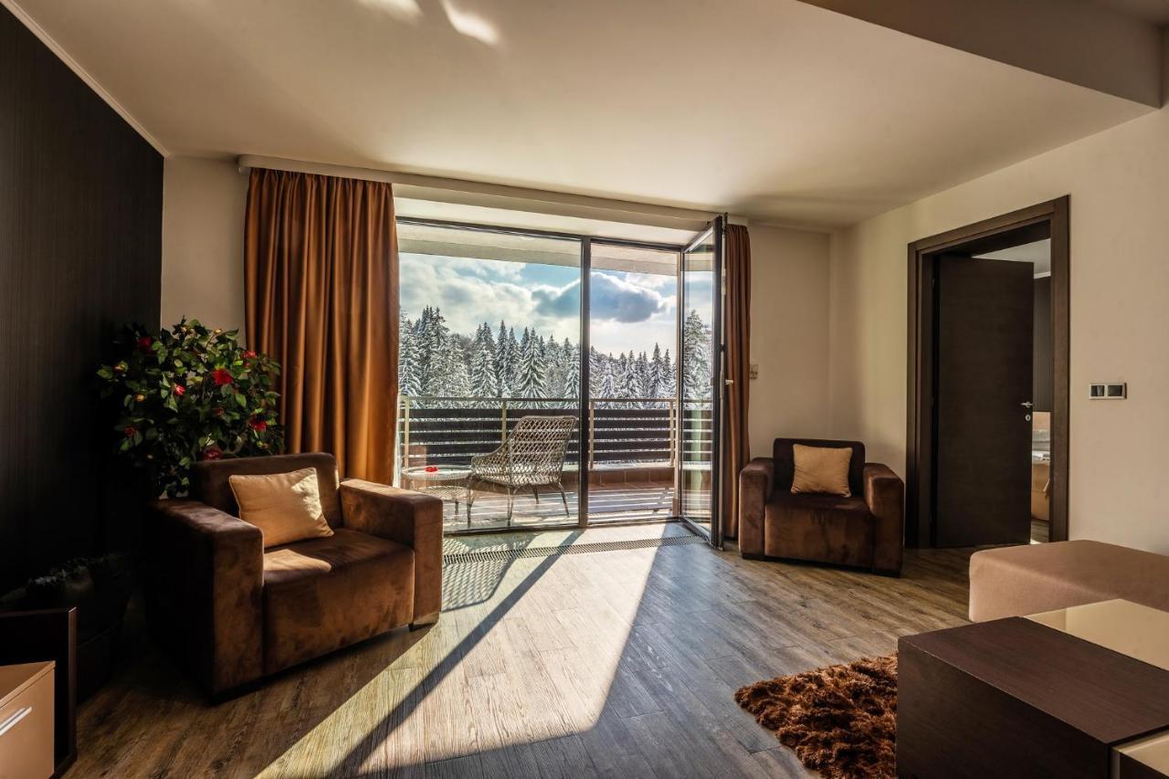 Silver Mountain - Ana'S Apartments ポイアナ・ブラショフ エクステリア 写真