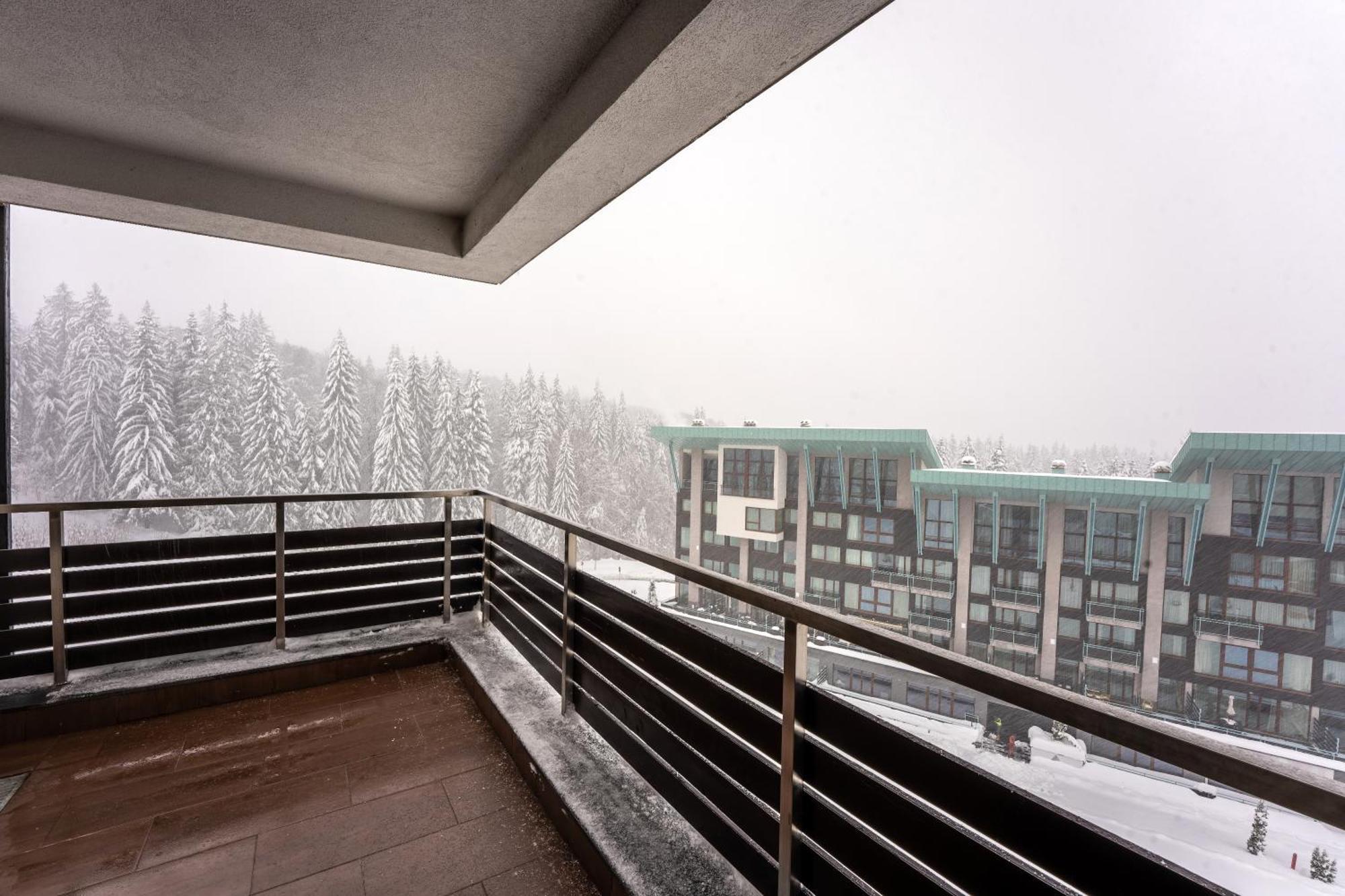 Silver Mountain - Ana'S Apartments ポイアナ・ブラショフ エクステリア 写真